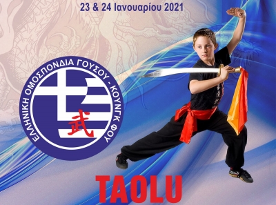Η συμμετοχή μας στο 1ο Διαδικτυακό Πρωτάθλημα Taolu
