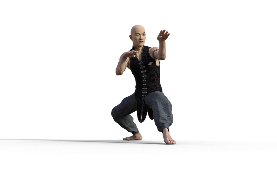 Οι Βασικές Στάσεις του Choy Lee Fut