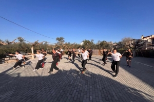 Σεμινάριο στο Ξίφος του Πράσινου Δράκου