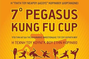 7o Pegasus Kung Fu Cup - Οι συμμετοχές μας