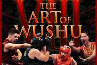 The Art Of Wushu 2020 - Η συμμετοχή μας
