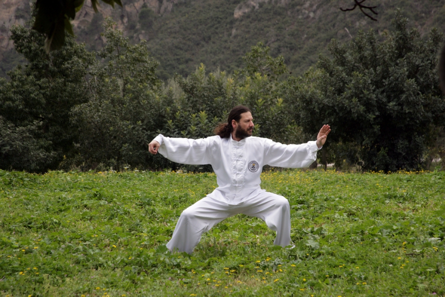 Σεμινάριο με το sifu Gaspar Garcia