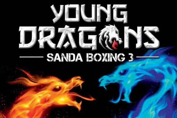 Young Dragons Sanda Boxing 3 - Οι Συμμετοχές μας